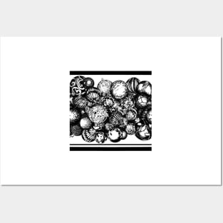 Rows of Christmas Ornaments Black & White Posters and Art